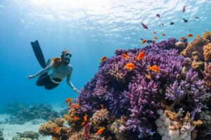 Spot Diving Terbaik di Indonesia Selain Raja Ampat
