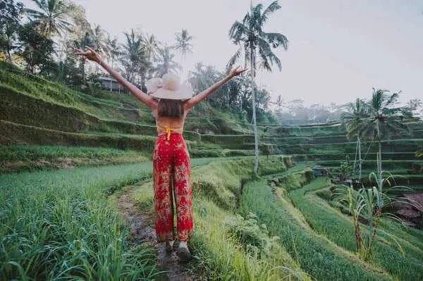 paket wisata bali